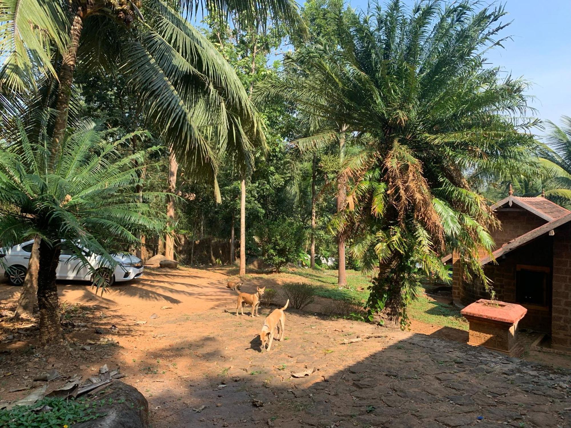 Holiday home Shantam- Peace Has An Address Now! *