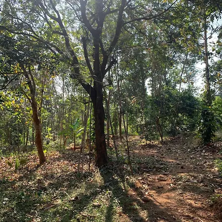 Shantam- Peace Has An Address Now! Cheruthuruthi Exterior photo